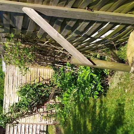 別荘 Casa Moderna Com Piscina E Jardim Em *